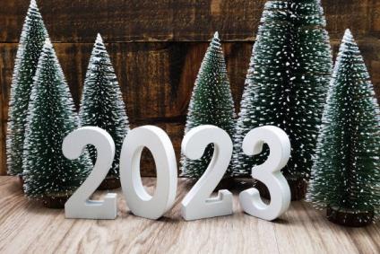 BONNE ANNEE 2023 BONNE ANNEE 2023