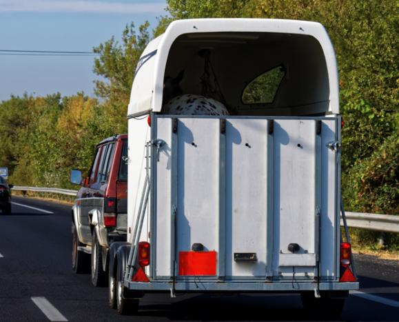 Remoque pour chevaux